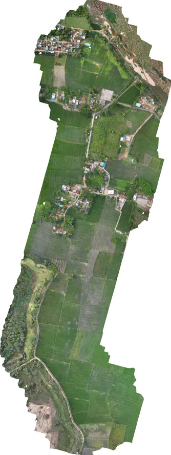 Orthomosaics image